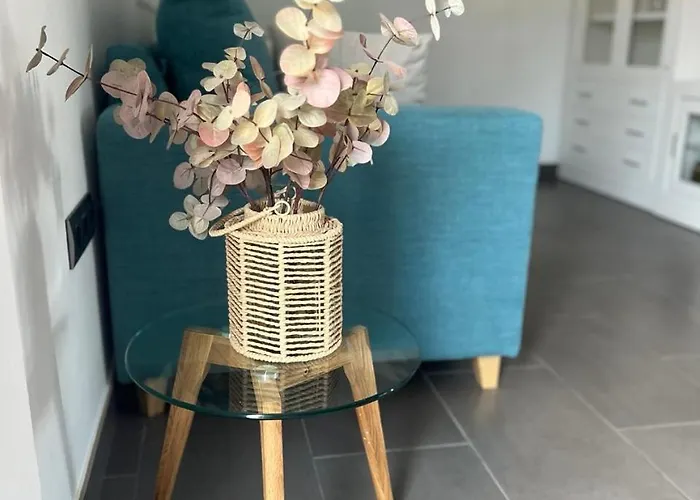 Apartment Celma Costa Adeje (Tenerife)